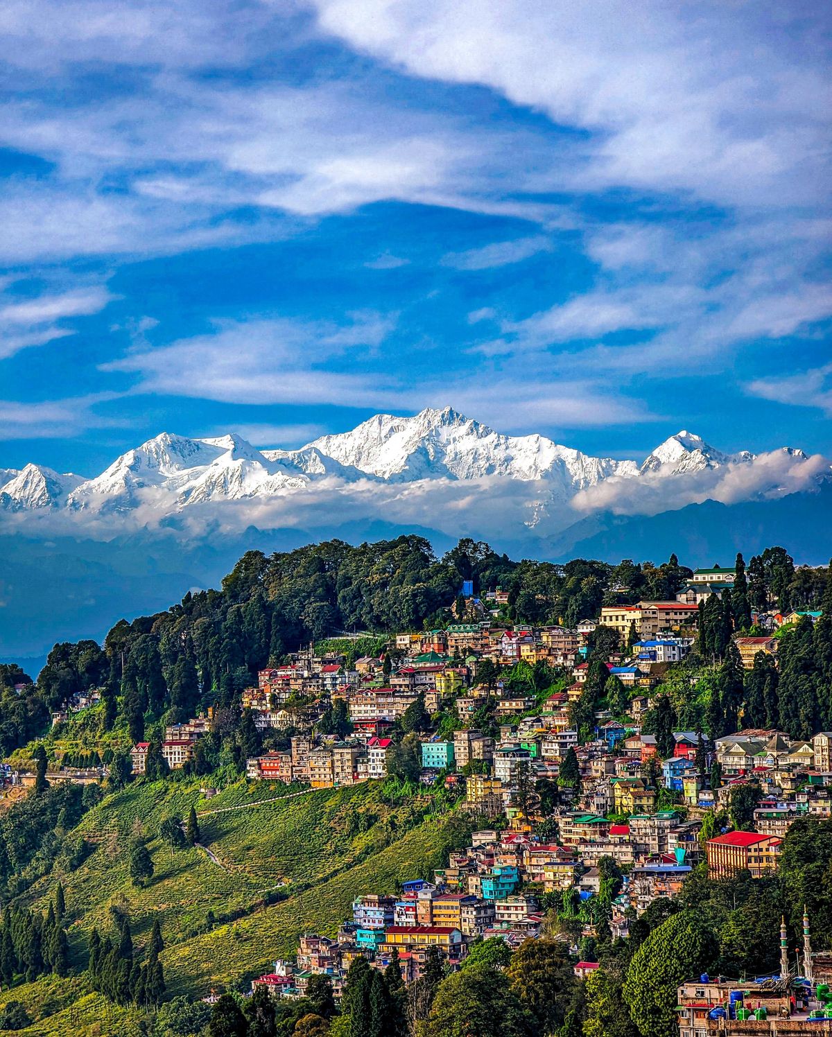 Darjeeling Hill Escape